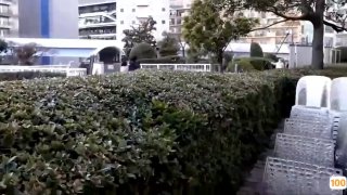 精品国产一区二区在线